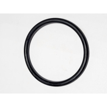 Virzuļa blīvējums LS10000 daļa 22-1