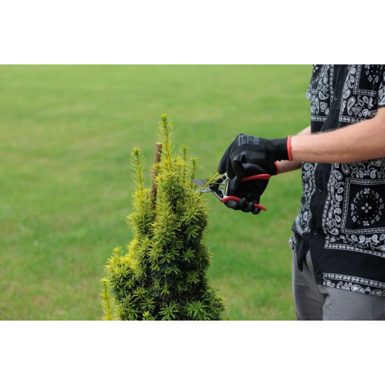 Apvedceļa atzarotājs 200mm Strend Pro Premium, griešanas vāciņš. 20 mm