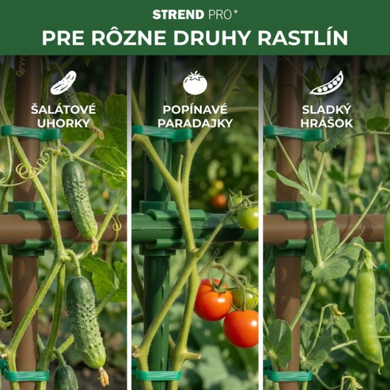 Conjunction 08mm PVC, pac. 30pcs