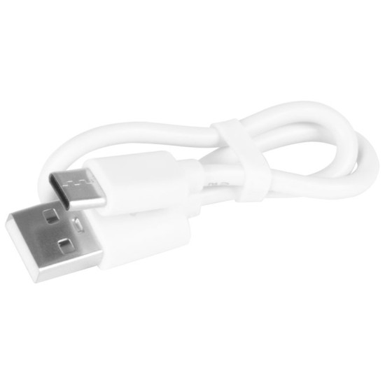 USB-C/USB-A Charging Cable, 24.5 cm