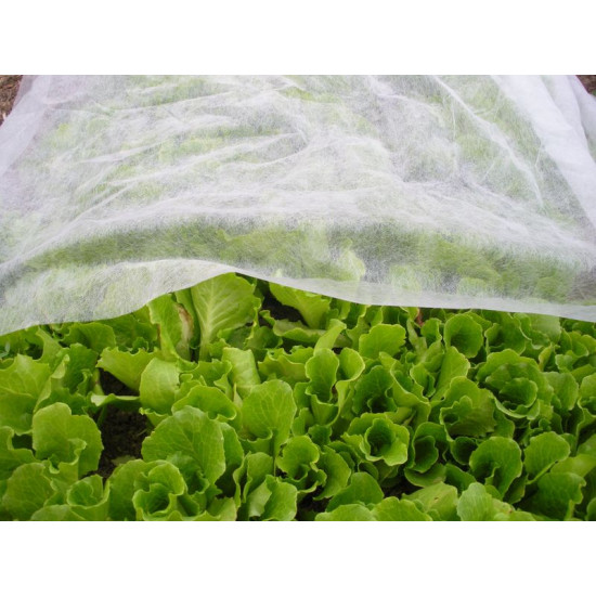 Nonwoven fabric 2,0x05m 17g/m2, white.