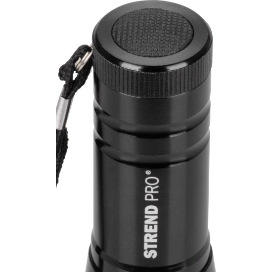 Lukturis COB 100 lm, Alu, 3xAAA, 12 gab.