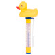 Thermometer Strend Pro Pool, floating, Duck, pool