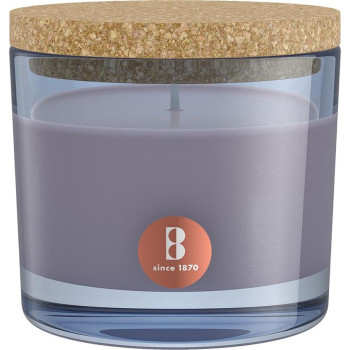 Свеча True Joy Secret Forest bolsius, ароматическая, 66/83 мм, в стекле