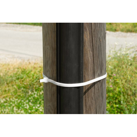 Pulling tape Strend Pro XXL CT66BW, extra STRONG, 800x9 mm, 50 pcs, white, nylon, binding