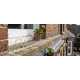 Bird deterrent Strend Pro, 40 spikes, L-50 cm, PC UV, PC base