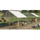 Chicken coop Strend Pro, for poultry, aviary, cage, with roof, 3x8x2 m Chicken coop Strend Pro, for poultry, aviary, cage, with roof, 3x8x2 m