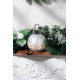 MagicHome Christmas Ball, Glass, Silver, 10xLED Warm White, 12x12x18 cm, 2xAA MagicHome Christmas Ball, Glass, Silver, 10xLED Warm White, 12x12x18 cm, 2xAA