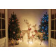 MagicHome Christmas decoration, deer/deer, metal/twine, 80xLED warm white, 0.6 m MagicHome Christmas decoration, deer/deer, metal/twine, 80xLED warm white, 0.6 m