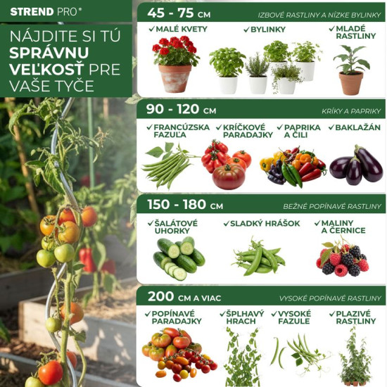 Опора Garden KBT 1800/14-16 мм, 10 шт, бамбук, для поддержки растений