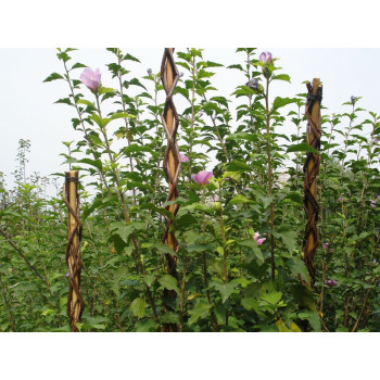 Auga atbalsts Willow 160 cm, pīts, augu atbalstam