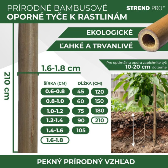 Stick Garden KBT 2100/16-18 mm, 10 pcs, bamboo, for plants support