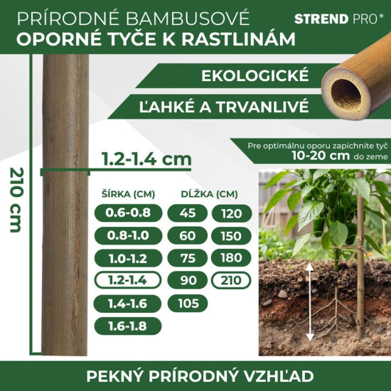 Stick Garden KBT 2100/12-14 mm, 10 pcs, bamboo, for plants support