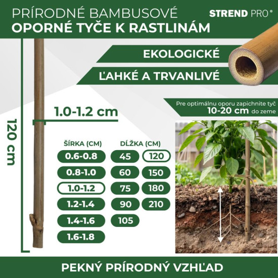 Auga atbalsts KBT 1200/10-12 mm, 10 gab, bambuss, augu atbalstam