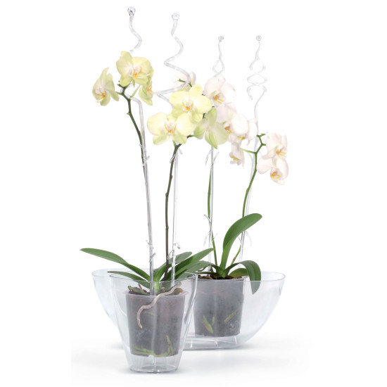 Bar for orchide COUBI ISTC01, 60 cm, transparent