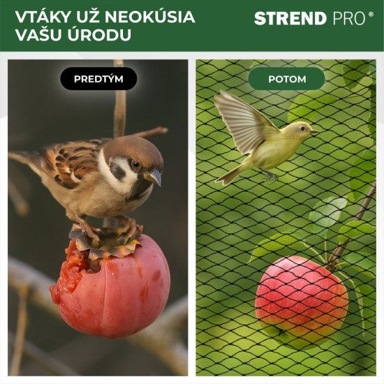 Сетка от птиц 04х10м,  25мм