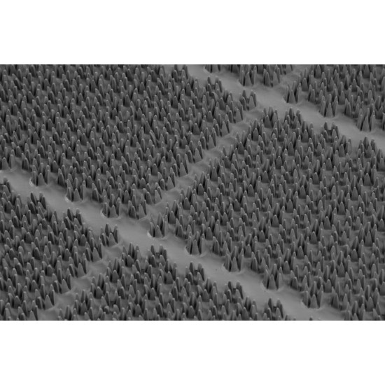 Paklājiņš DM-205 • 65x90 cm