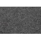 MagicHome TRM 002 mat, in front of the door, 40x60 cm, gray MagicHome TRM 002 mat, in front of the door, 40x60 cm, gray