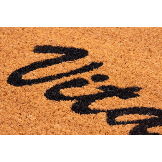 Paklājiņš MagicHome RBC 199, Welcome, 40x60 cm