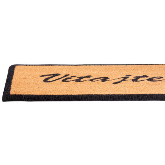 Paklājiņš MagicHome RBC 199, Welcome, 40x60 cm