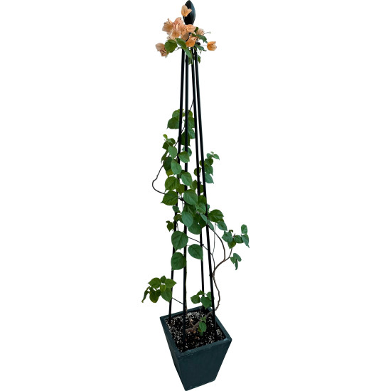 Strend Pro plant support, 4-leg, 150 cm
