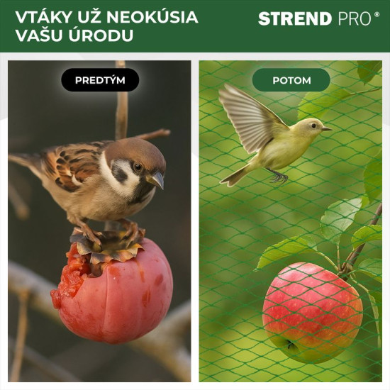 Strend Pro net, 4x10 m, mesh size 18 mm, anti-bird, PE