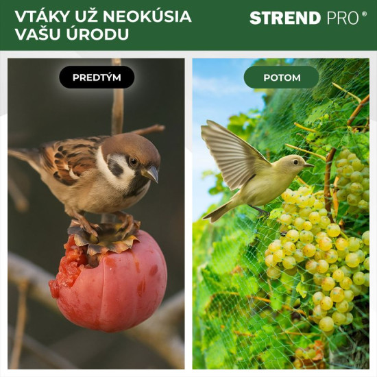 Strend Pro Putnu aizsargtīkls  2x5 m, šūnu izmērs 18 mm, PE