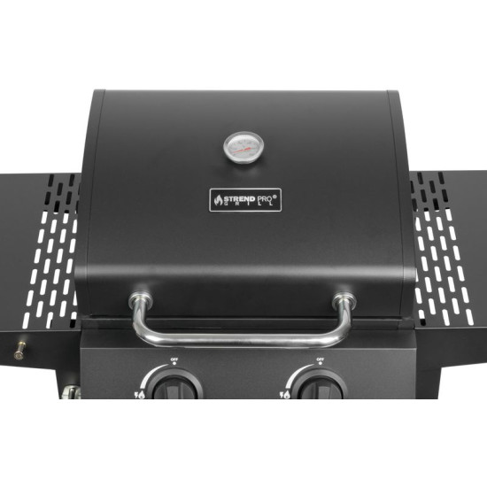 Гриль Strend Pro Andora, барбекю, газ, 2 горелки