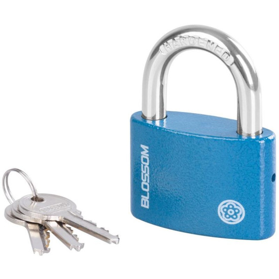 Padlock 63 mm Blossom, 3 keys
