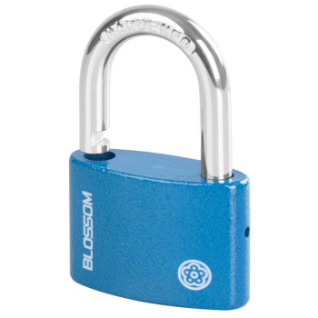 Padlock 63 mm Blossom, 3 keys