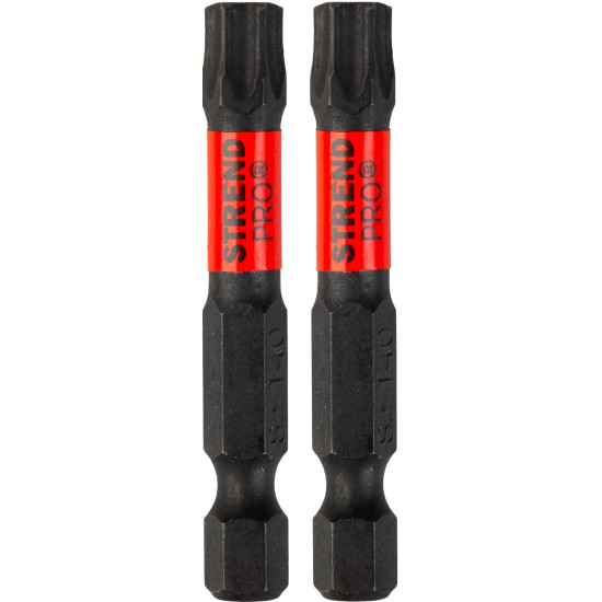 Bit Strend Pro Premium Torx, T40,  2 pcs