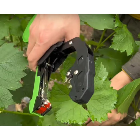 Lizard knaibles, iesiešana, komplekts, 10gb lente, 10000gb skavas