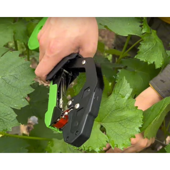 Lizard knaibles, iesiešana, komplekts, 10gb lente, 10000gb skavas