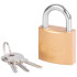 Padlock Strend Pro FT 38 mm, hanging. gold