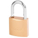Padlock Strend Pro FT 38 mm, hanging. gold