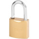 Замок Strend Pro FT 25 мм, подвесной, золотой