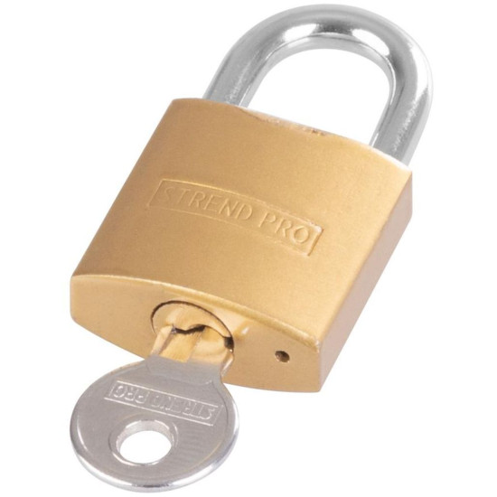 Замок Strend Pro FT 25 мм, подвесной, золотой