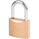 Padlock Strend Pro FT 63 mm, hanging, gold
