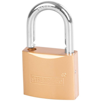 Padlock Strend Pro FT 50 mm, hanging, gold