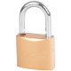 Padlock Strend Pro FT 50 mm, hanging, gold