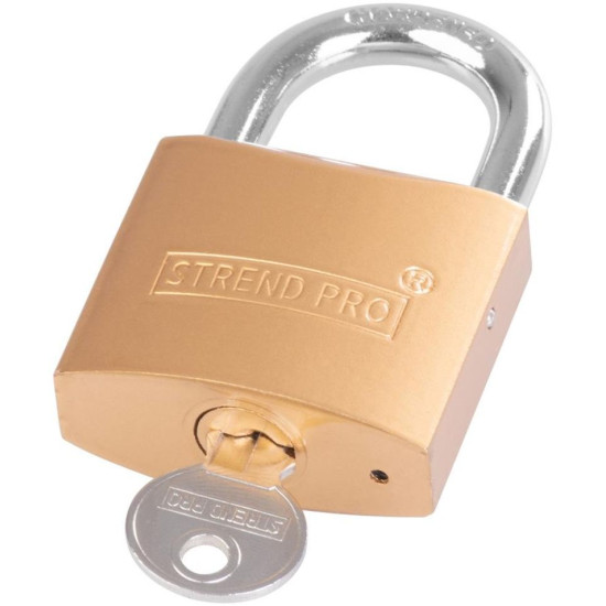 Padlock Strend Pro FT 50 mm, hanging, gold