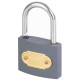 Padlock IRON 38 mm GrayPAD