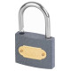 Padlock IRON 50 mm GrayPAD