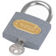 Padlock IRON 50 mm GrayPAD
