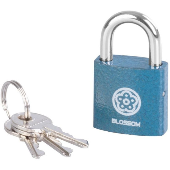 Padlock 25 mm Blossom, steel, Unique