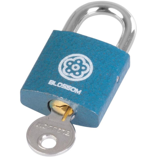 Padlock 25 mm Blossom, steel, Unique