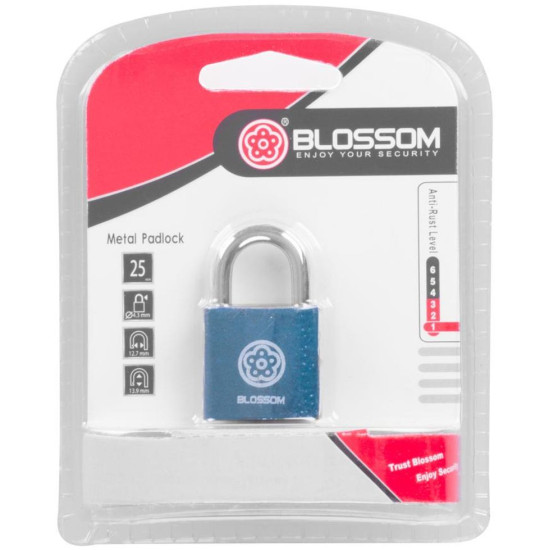 Padlock 25 mm Blossom, steel, Unique