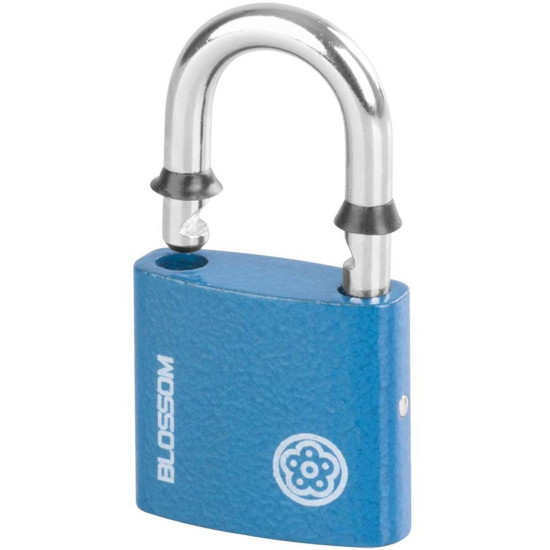 Padlock 38 mm Blossom, steel, Unique
