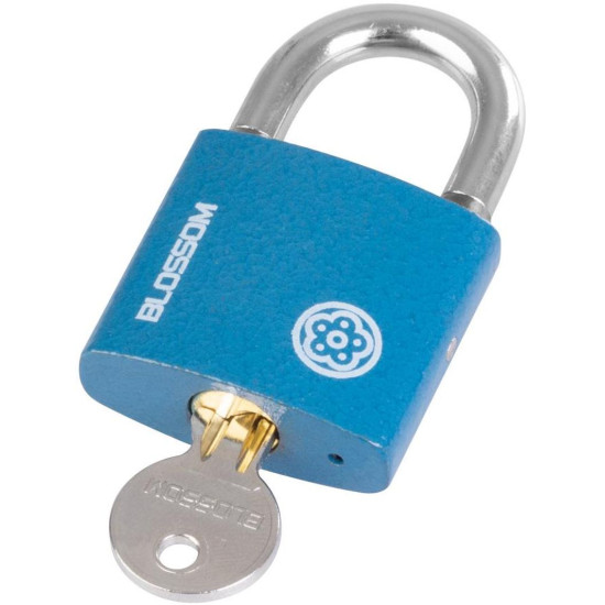 Padlock 38 mm Blossom, steel, Unique