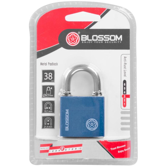 Padlock 38 mm Blossom, steel, Unique